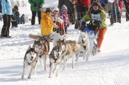 Lenk 2012 SM